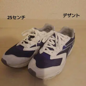 데상트 러닝화 25cm
