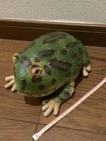 개구리 벨츠노 개구리  frog 양서류 리얼 인형