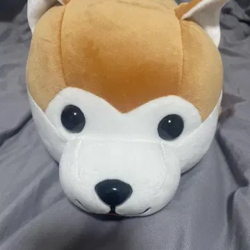 해피 추견 봉제 인형 추견 복권 마스코트 개