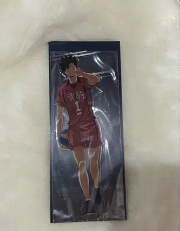 하이큐! 네코마 쿠로오 테츠로 아크릴 스탠드