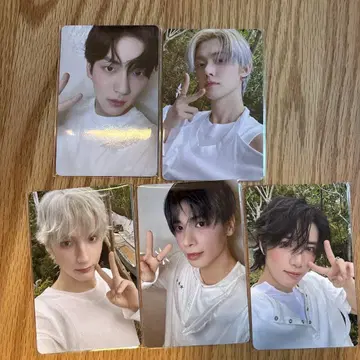starkissed weverse 럭키 드로우 1, 2회차