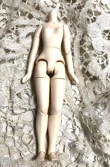네오 브라이스 커스텀 브라이스 퓨어니모 S 내추럴 피부