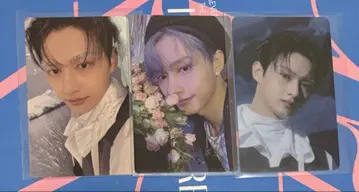 세븐틴 준 Sector 17 Weverse반 트레이딩 카드