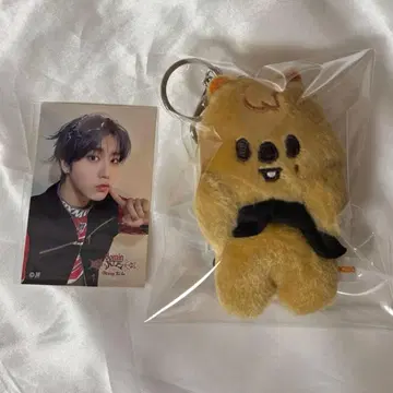 straykids 한쿼카 마그넷 키링