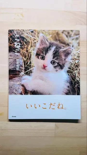 아기 고양이 이와쿠라 미츠아키 친필 사인 포함