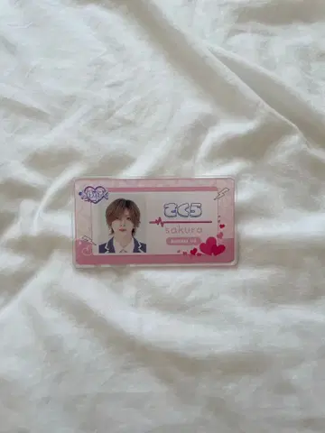 러브시크 사쿠라 네임 배지