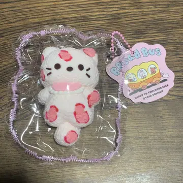 스퀴즈 고양이