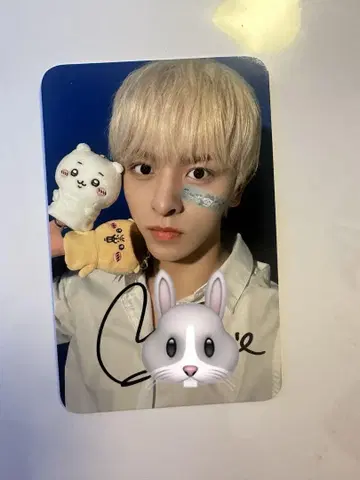 n.SSign 사인 폴라 치이카와(먼작귀) ver. 로렌스