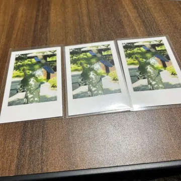 이레이스 호토케 실사 폴라로이드