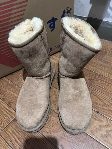 베이지 숏 어그 부츠