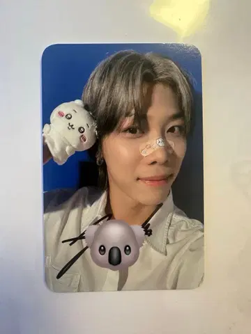 n.SSign 사인 폴라로이드 치이카와(먼작귀) ver. 로빈