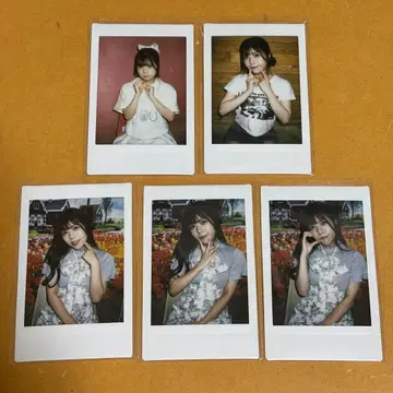 차키 [오코사마 플레이트.] 폴라로이드 5장 세트