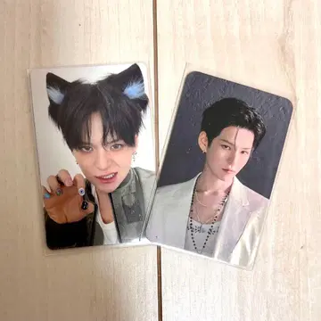 TREASURE 요시 트레이딩 카드 popup 8000엔 혜택 팝업