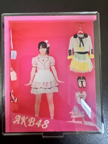 호테이 모모카 AKB48 아크릴 스탠드 다이마루 도쿄 대 의상전