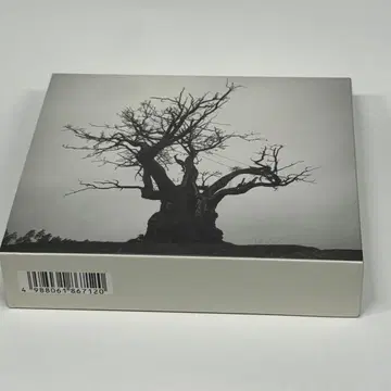 SEKAI NO OWARI 2010-2019