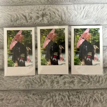 이레이스 실사 폴라로이드 나이코 2