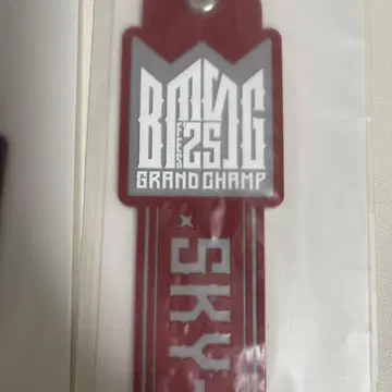 BMSGFES 25 타월 홀더 SKY-HI