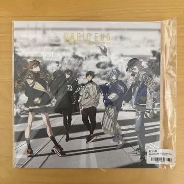 RADIO EVA 대형 엽서 색지 에반게리온 풀컬러 ver.