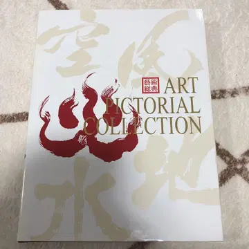 ART PICTORIAL COLLECTION 서양화 예술 총전