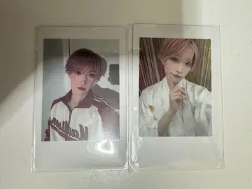 팬더드래곤 파라곤 타이거 하피카