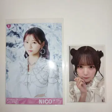 화이트 스콜피온 white scorpion NICO ACE
