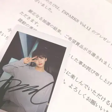 SEVENTEEN SPARKS vol.1 친필 사인 폴라로이드