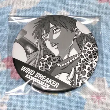 WIND BREAKER 윈브레전 랜덤 시계 부품 캔뱃지 타키시야 원작