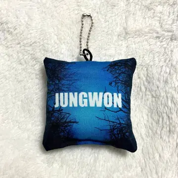 정원 쿠션 키링