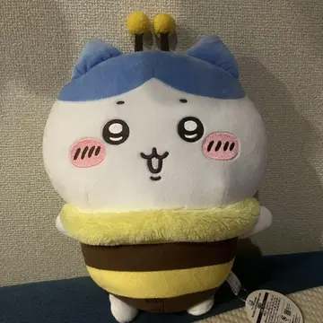 하치와레 하치 씨