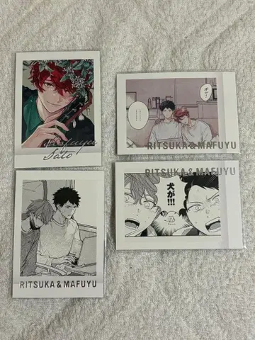 기븐 기븐전 파샤코레 Premium 마후유 릿카