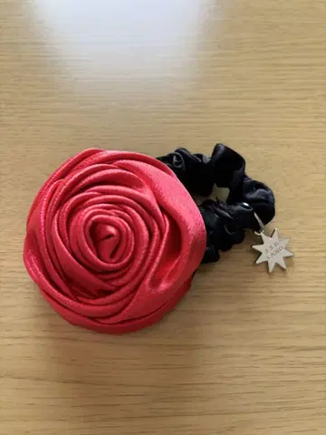 이마이치 류지 로즈 스크런치