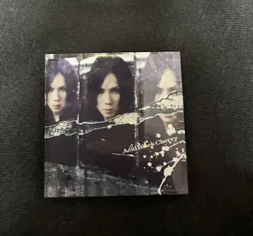 Acid Black Cherry 랜덤 아크릴 마그넷 A 겨울의 환상