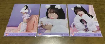 노구치 이오리 브로마이드 고양이 의상 컴프 노멀