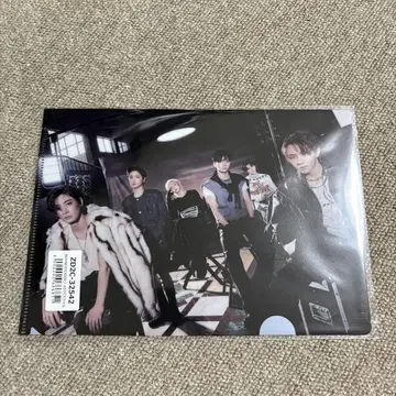BOYNEXTDOOR 보넥도 THE ACTION 파일