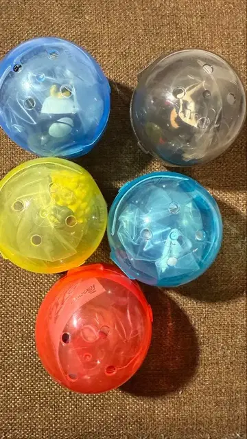 어깨 쿵 Fig. 페르소나 5 로얄 vol.1 전 5종 풀 컴프 세트