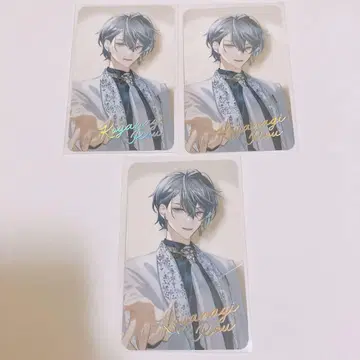 코야나기 로우 준 브라이드 폴라로이드
