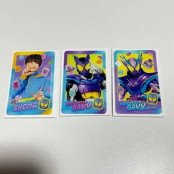 가면라이더 가브 아크릴 카드 컬렉션