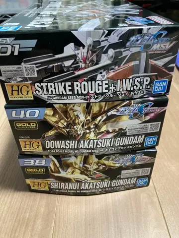 HG 시라누이, 오오시아카츠키 HG 스트라이크 루즈 + I.W.S.P.