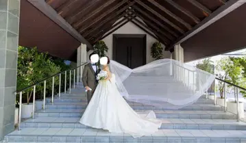 pronovias 3m 웨딩 베일