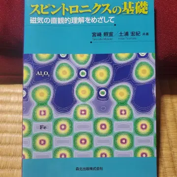 스핀트로닉스의 기초 자기장의 직관적 이해를 목표로
