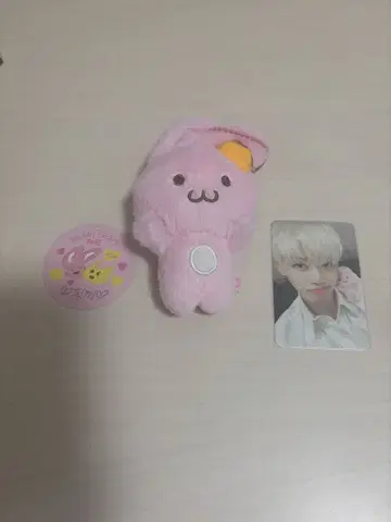 재민 NCTDREAM 마그넷 인형 키링 봉제 인형