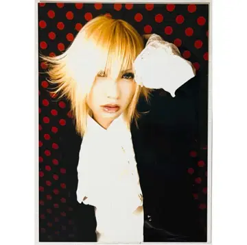 V계 소로반 [유메토] 브로마이드 생사진 1장