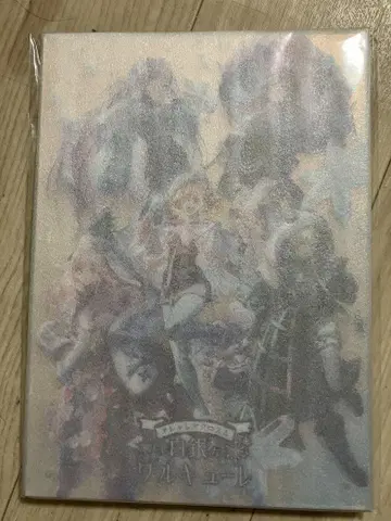 오샤레 마크로스 아크릴 오로라 패널 백은의 발키리 미개봉 새상품