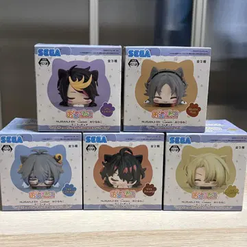 Luxiem 낮잠