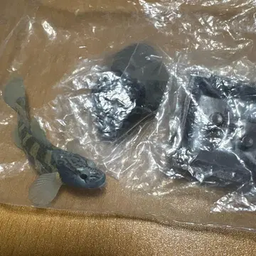 키탄클럽 일본의 청류 토요시노보리