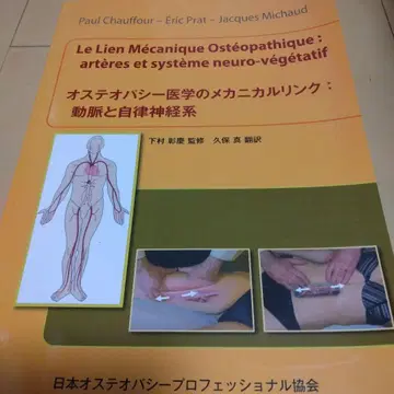 골병리학의 메카니컬 링크 : 동맥과 자율신경계