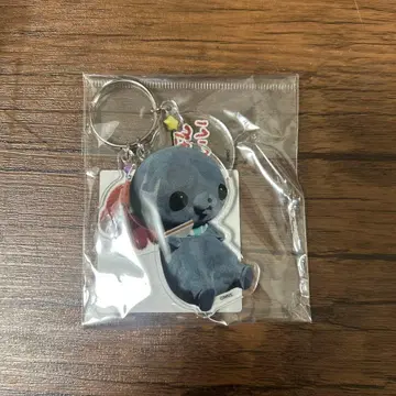 교육 방송 MNS 그런 걸로 괜찮아 타마 파울