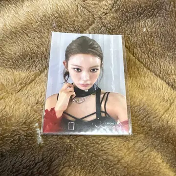 사쿠라이 미우 생사진 메자마시 라이브