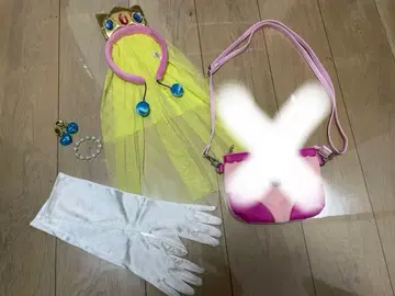 USJ 유니버셜 스튜디오 재팬  피치 공주 세트 닌텐도