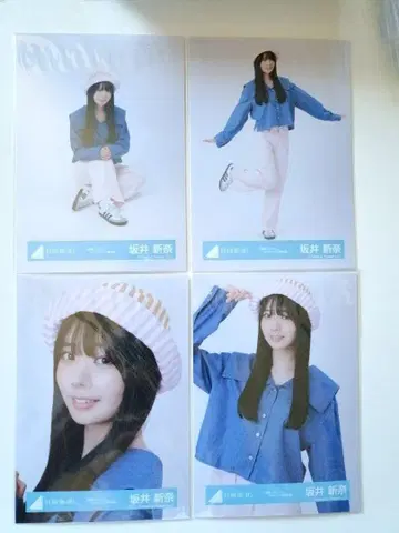 히나타자카46 사카이 니이나 부탁이야 바흐! 자켓 사진 의상 4종 컴프